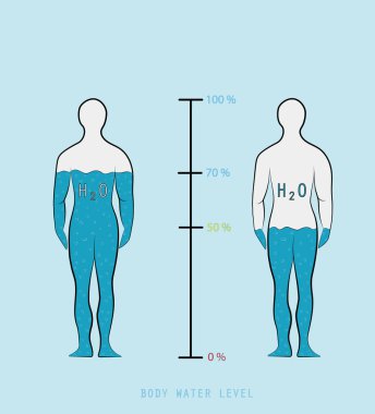 siluet Infographic su yüzde seviyesi insan vücudu vektör çizimde gösterilen