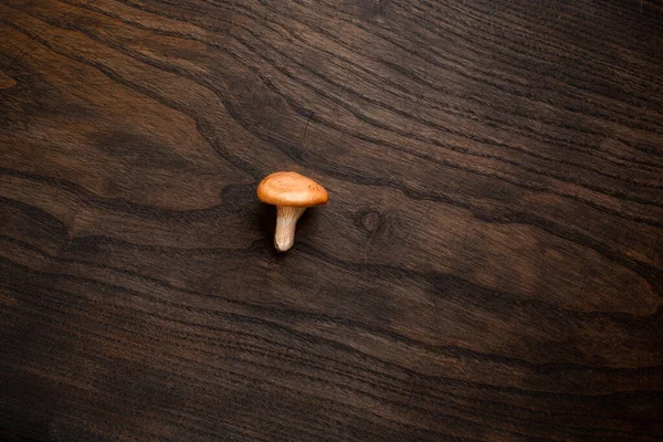 Jeden surowy, jadalny grzybek, Lactarius, na tle drewna. Widok z góry, pozostawione miejsce na tekst — Zdjęcie stockowe