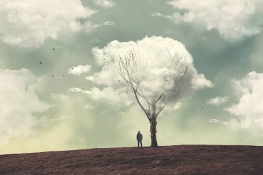 ağaç üzerinde bulutlar