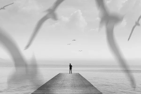 Solitary Man Walking Boardwal Birds — Stock Photo, Image