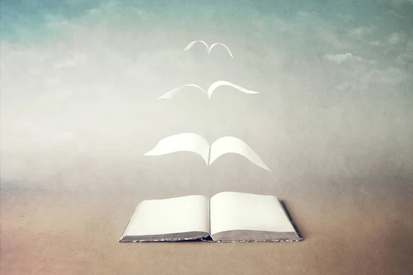 kitaptan uçan gerçeküstü kitap kavramı sayfaları
