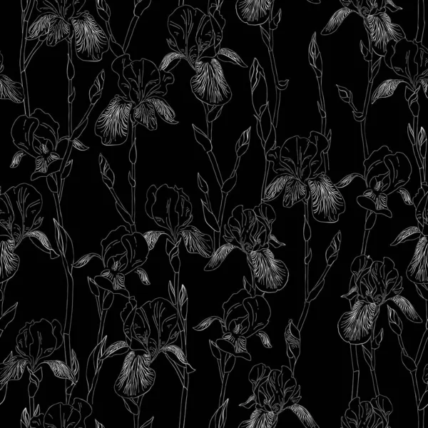 Tinta, lápiz, flores de iris blanco y negro patrón sin costuras. Fondo negro. Pintura natural dibujada a mano. Ilustración de bocetos a mano alzada . — Vector de stock