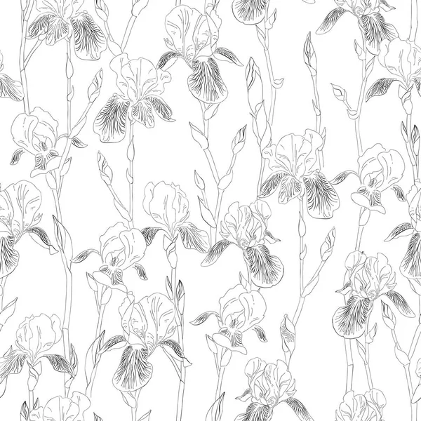 Mürekkep, kalem, siyah-beyaz iris çiçekleri pürüzsüz desen. Elle çizilmiş doğa resmi. Serbest çizim illüstrasyonu. — Stok Vektör