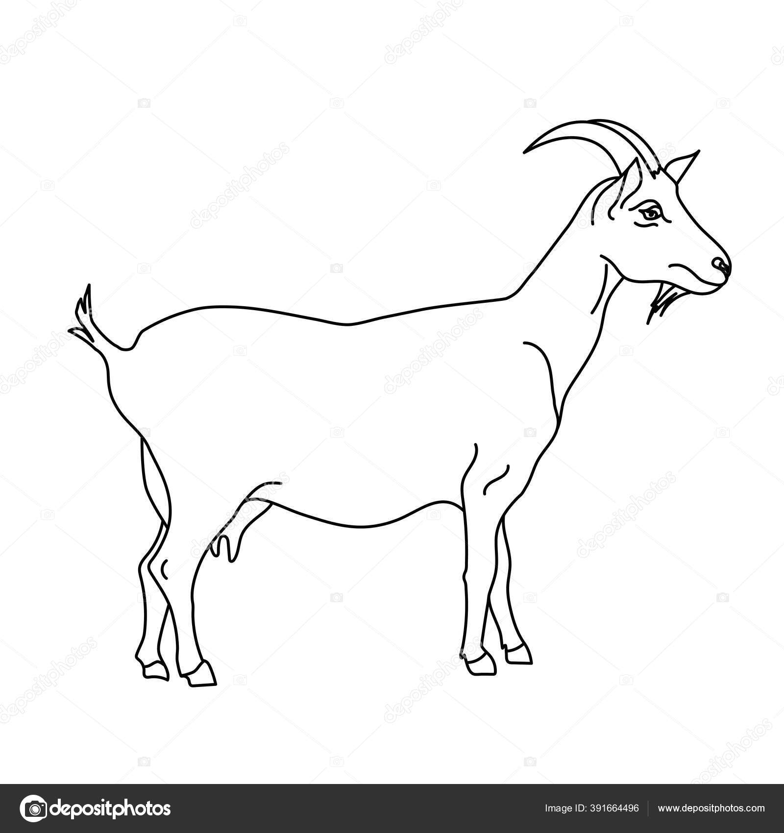 Goat line drawing. Minimalistic style for logo, icons, emblems