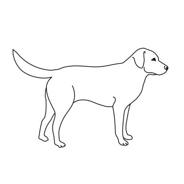 Labrador köpek çizgisi çizimi. Logo, simge, amblem, şablon ve rozetler için minimalist bir tarz. Beyaz arkaplanda izole.