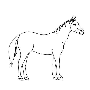 At çizgisi çizimi. Logo, simge, amblem, şablon ve rozetler için minimalist bir tarz. Beyaz arkaplanda izole.