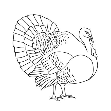 Hindi çizimi. Logo, simge, amblem, şablon ve rozetler için minimalist bir tarz. Beyaz arkaplanda izole.