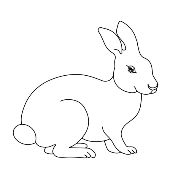 Dibujo de línea de conejo. Estilo minimalista para el logotipo, iconos, emblemas, plantilla, insignias. Aislado sobre fondo blanco . — Vector de stock