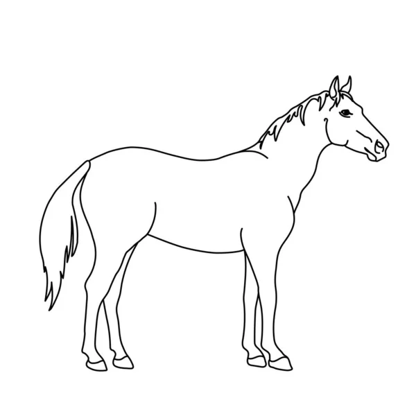 Рисунок лошадиной линии. Минималистический стиль логотипа, иконок, эмблем, шаблонов, значков. Изолированный на белом фоне . — стоковый вектор