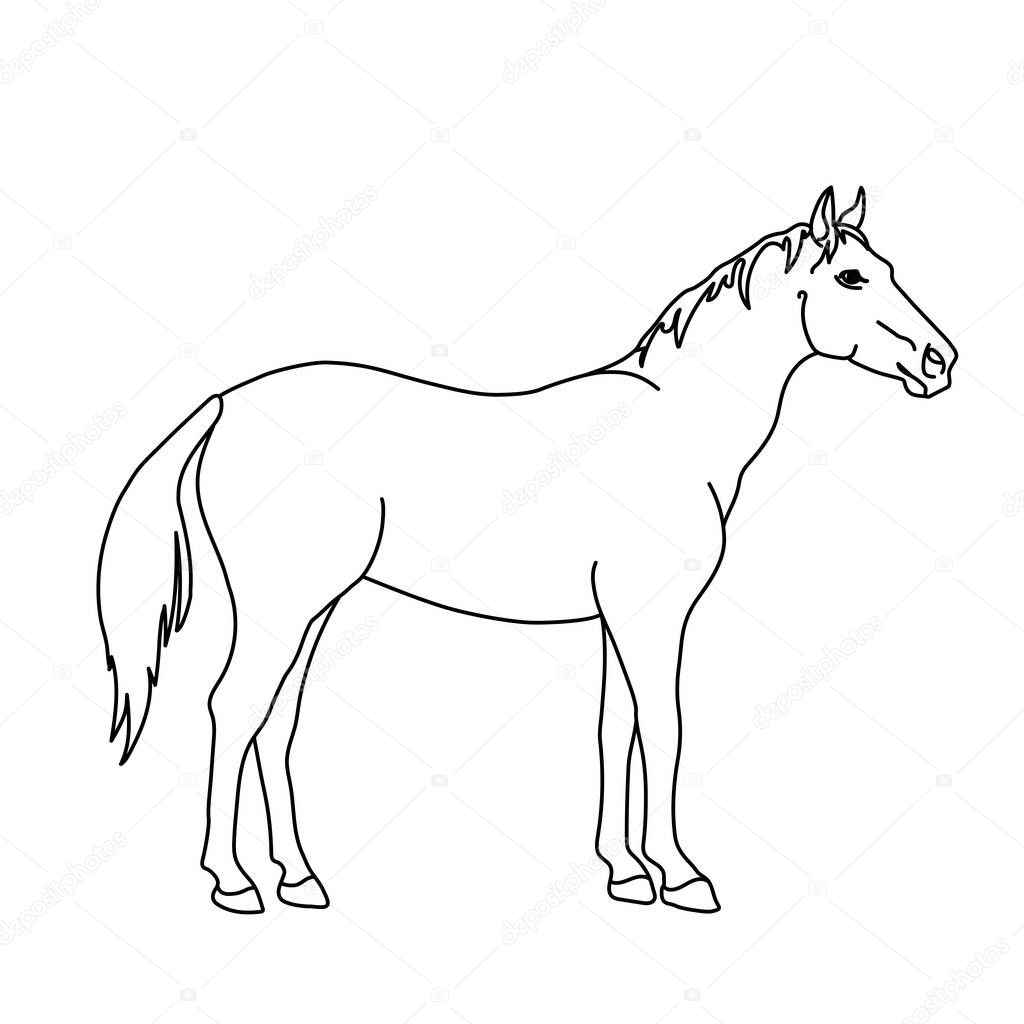 Horse line drawing. Minimalistic style for logo, icons, emblems, template, badges. Isolated on white background.