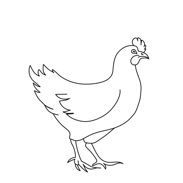 Tavuk çizimi. Logo, simge, amblem, şablon ve rozetler için minimalist bir tarz. Beyaz arkaplanda izole.