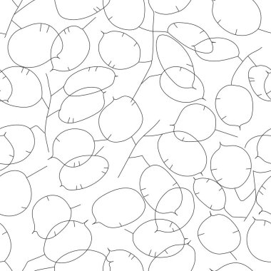 Lunaria bitkisi. Siyah-beyaz minimalist çizgi tarzı. Kusursuz desen.