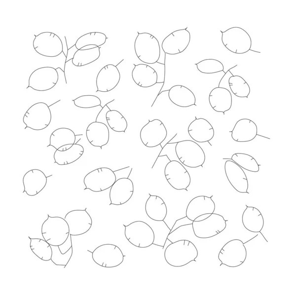 Ensemble de plantes Lunaria. Style de ligne minimaliste noir-blanc. — Image vectorielle