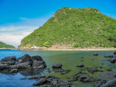 kayalar güzel ada Beach Surin Tayland deniz kıyısında.