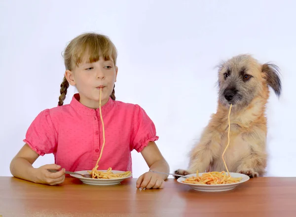 Little Girl Dog Eating Pasta Sitting Table White Background — Stock Photo, Image