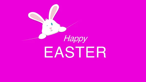 Closeup Happy Easter text and rabbit on pink background