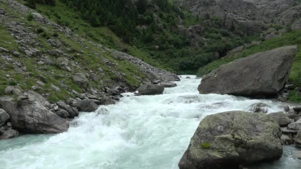 View river scenes in mountains, national park Switzerland, Europe — Stock Footage View river scenes in mountains, national park Switzerland, Europe Video Clip