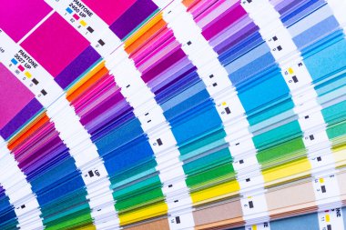 pantone örnek renk kitabın canlı görüntü