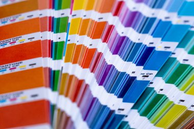 pantone örnek renk kitabın canlı görüntü
