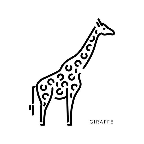 Zarys wektor logo rysunku żyrafa afrykańskie zwierzęta — Wektor stockowy