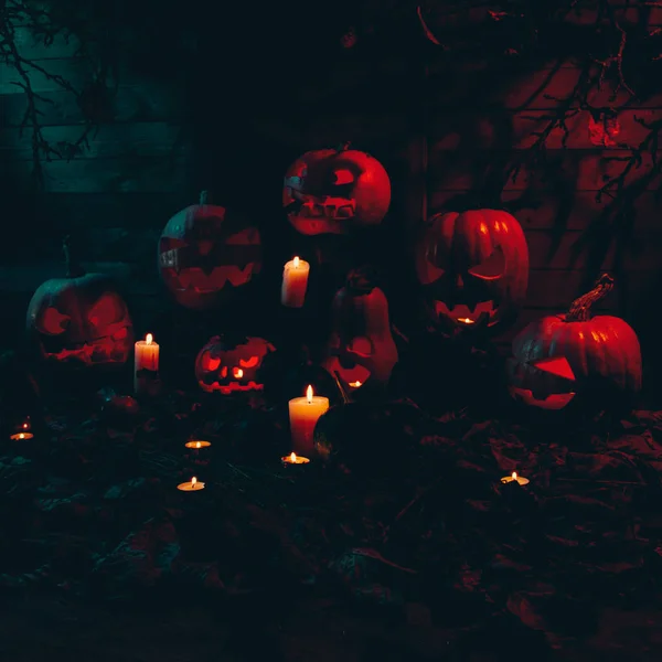 Koncepció Halloween Sok Ragyogó Narancs Kék Fény Dühös Szörnyű Sütőtök — Stock Fotó