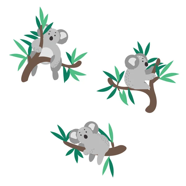 Lindo koala oso escalada en eucalipto árbol vector clipart . — Vector de stock