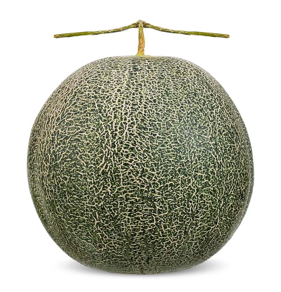 Melon Isolated White Clipping Path — Stock Photo, Image