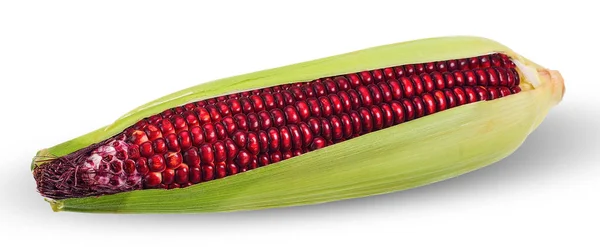 Кукуруза Изолирована Белом Обрезкой Пути — стоковое фото