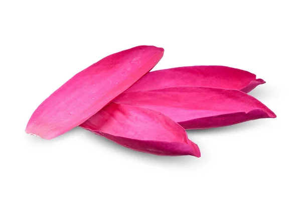 Lotus Leaf Isolated White Clipping Path — Stock Photo, Image
