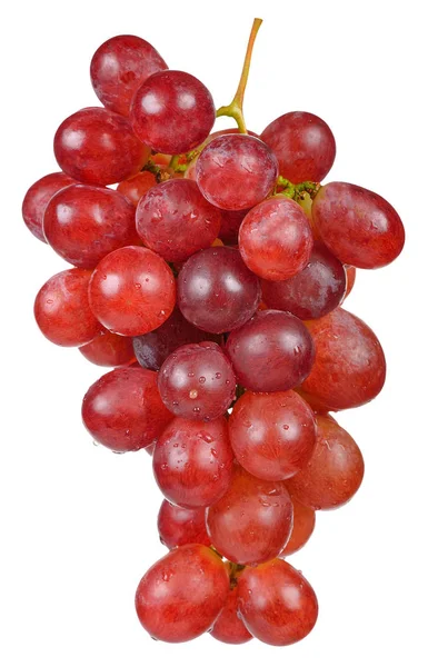 Red Grape Isolated White Clipping Path — Stock Photo, Image