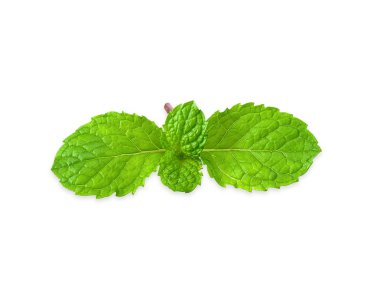 Beyaz kırpma yoluyla izole nane.