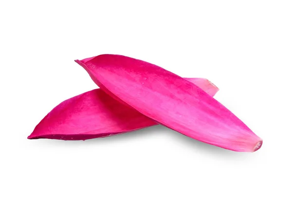 Röd Lotusblad Isolerad Vita Urklippsbana — Stockfoto