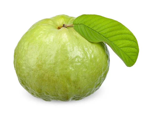 Guava Frukt Isolerad Vita Urklippsbana — Stockfoto