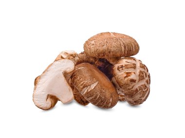 Shiitake mantar beyaz kırpma yolu üzerinde izole.