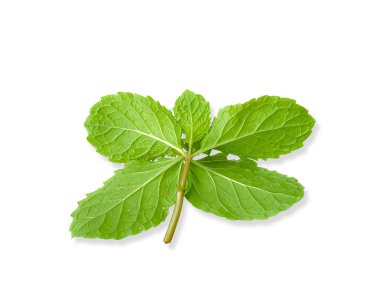 Beyaz kırpma yoluyla izole nane.