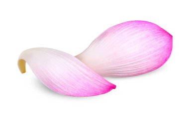 Lotus yaprak beyaz kırpma yolu üzerinde izole.