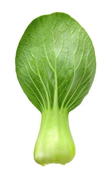 Bok Choy Leaf Isoliert Mit Clipping Path — Stockfoto