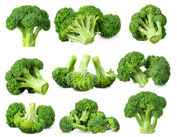 Collection Broccoli isolated on white background