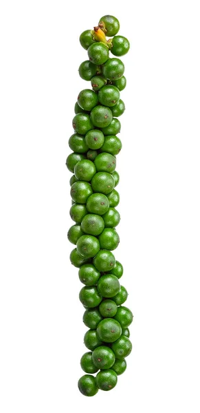 Groene Pepercorn Met Witte Uitknippad Geïsoleerd — Stockfoto