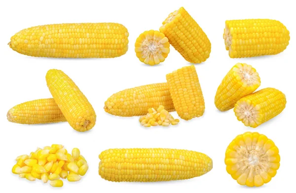 Collection Corn Isolated White Clipping Path — Stock Photo, Image