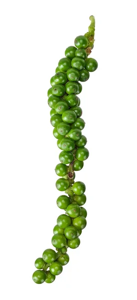 Green Peppercorn Isolated White Clipping Path — Stock Photo, Image