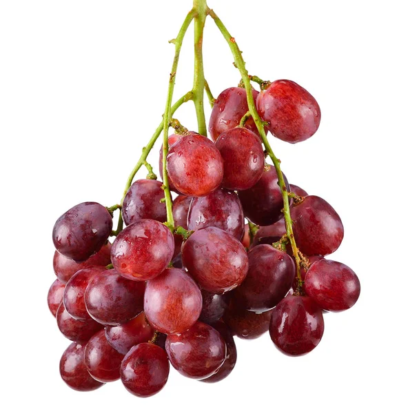 Red Grape Isolated White Clipping Path — Stock Photo, Image