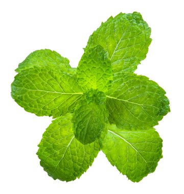 Nane şekeri beyazda izole edilmiş, nane kırpma yolu odaklanmış.