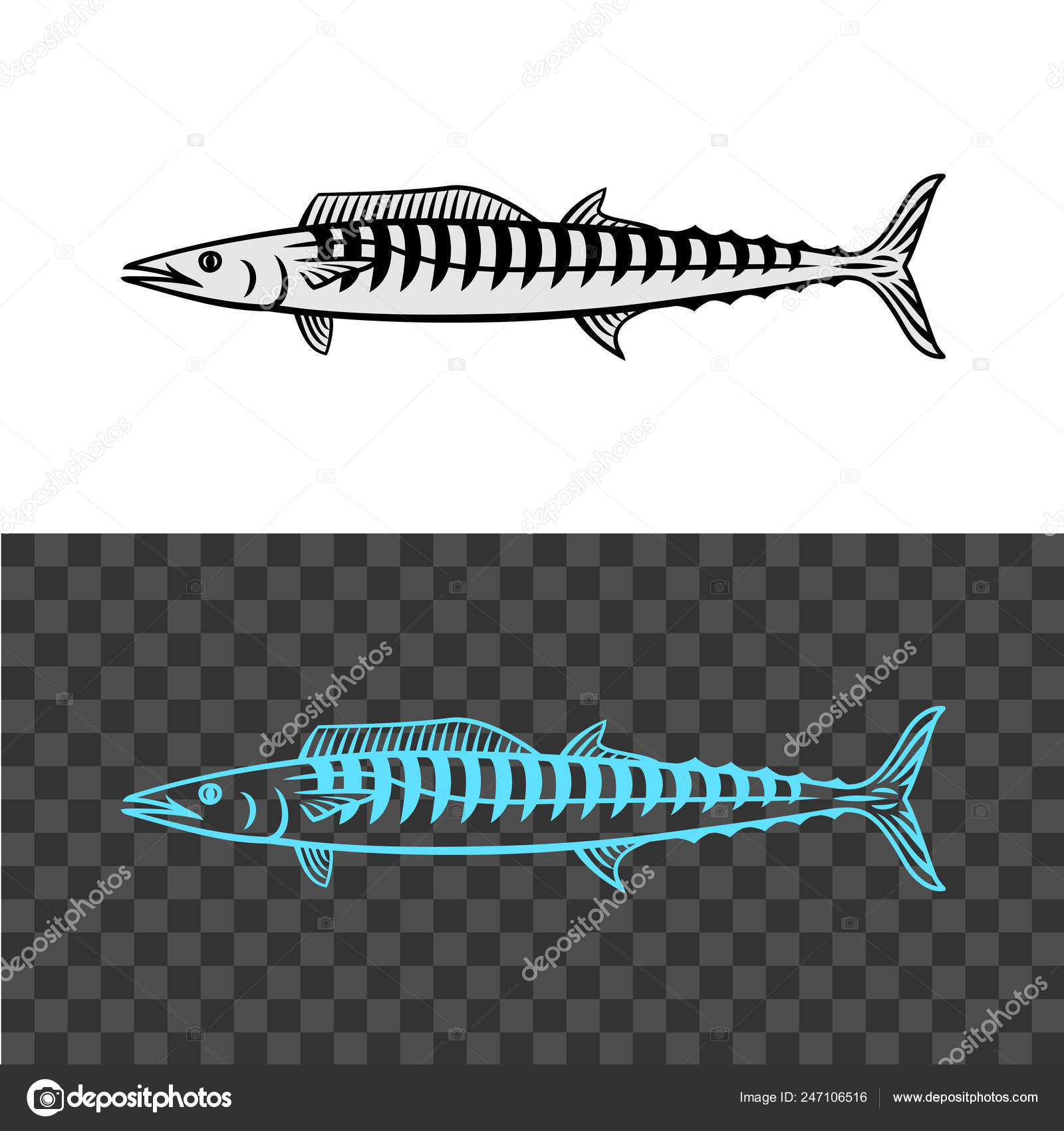 Wahoo fish illustration. King mackerel black sign. Stock Vector Image