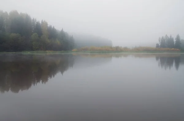 Reflexion Der Bäume Teich Einem Nebligen Morgen — Stockfoto