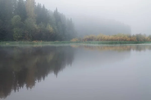 雾秋清晨池塘中树木的倒影 — 图库照片