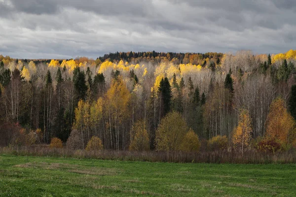 由太阳和戏剧性天空背景照亮的秋天森林和斜坡场 — 图库照片