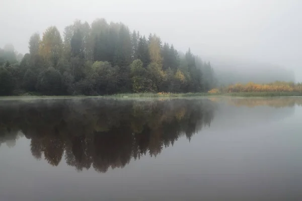 Reflexion Der Bäume Teich Einem Nebligen Herbstmorgen — Stockfoto