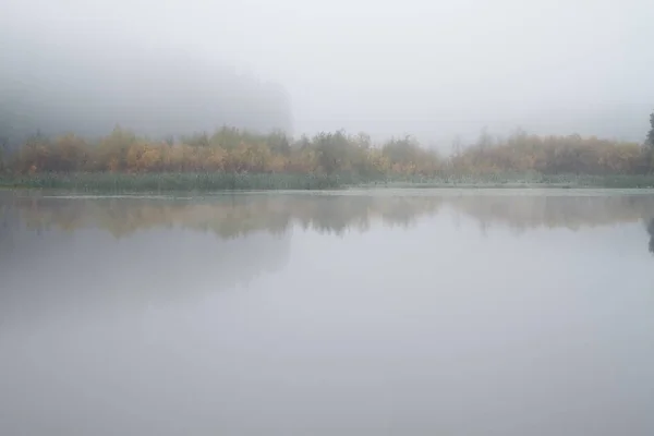 Reflet Des Buissons Herbe Dans Étang Par Matin Automne Brumeux — Photo