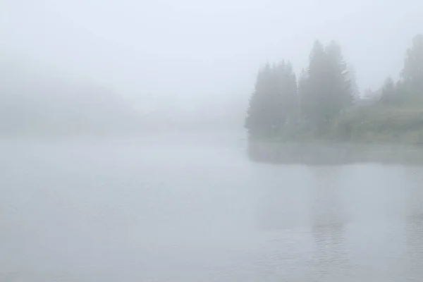 Reflexion Der Bäume Teich Einem Nebligen Herbstmorgen — Stockfoto